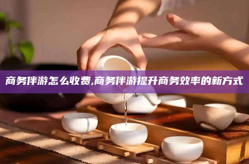 靖江商务伴游怎么收费,商务伴游提升商务效率的新方式